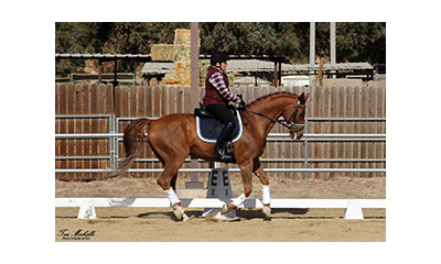 Ride On - Therapeutic Horsemanship